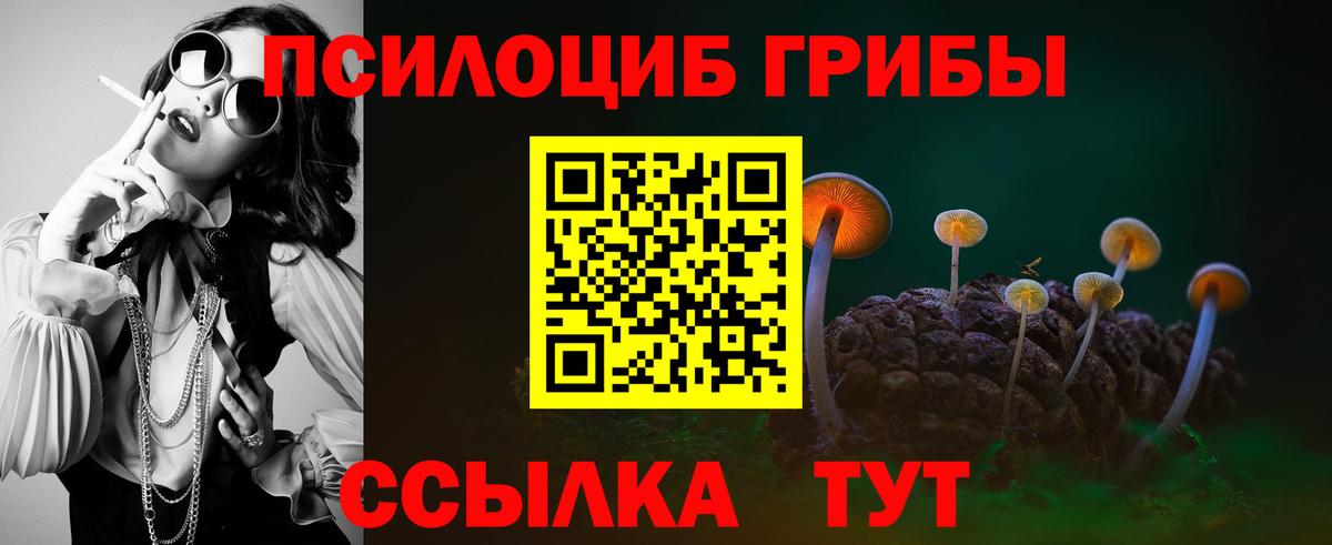где купить наркоту  Вход с VPN  Корсаков  Псилоцибиновые грибы MAGIC MUSHROOMS 