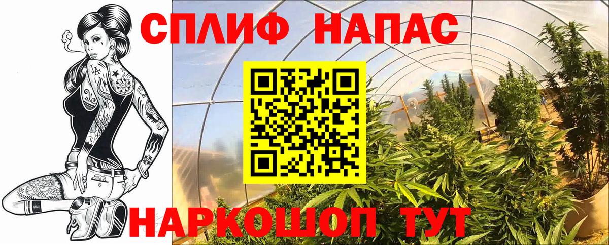 Конопля гибрид  Вход с VPN  Корсаков  Канабис Amnesia 